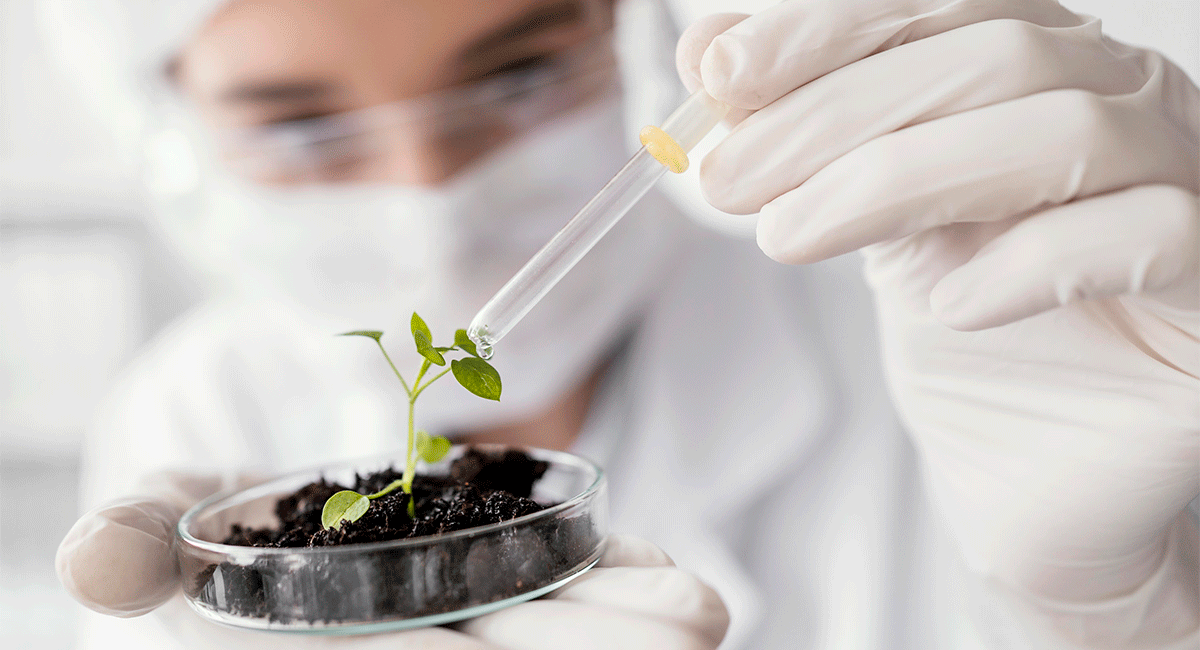 Cientista aplica solução líquida com pipeta em muda de planta em laboratório, representando pesquisa com produtos fisiológicos na agricultura.